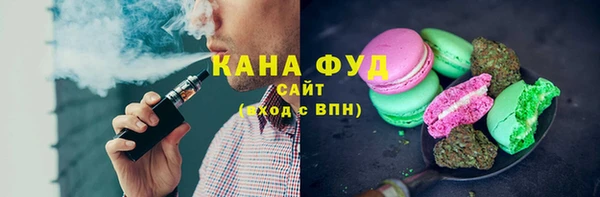 стаф Арсеньев