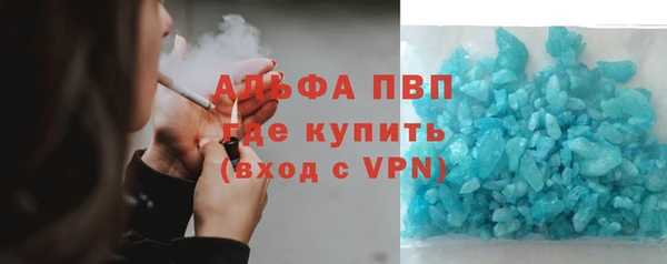 стаф Арсеньев