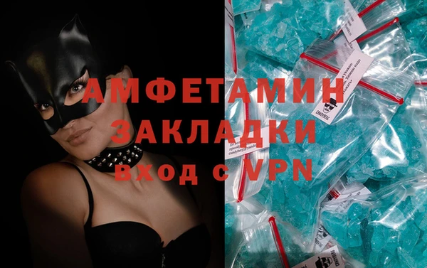 сатива Балахна