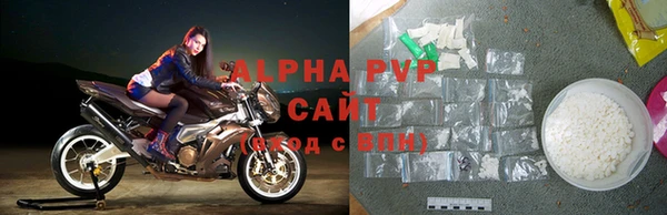 стаф Арсеньев